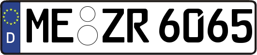 ME-ZR6065