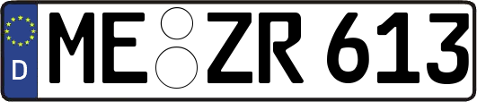 ME-ZR613