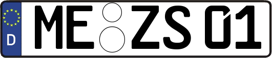 ME-ZS01