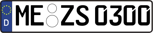 ME-ZS0300