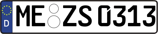 ME-ZS0313