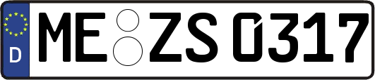 ME-ZS0317
