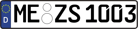 ME-ZS1003