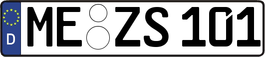ME-ZS101