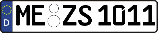 ME-ZS1011