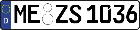 ME-ZS1036