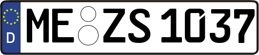 ME-ZS1037