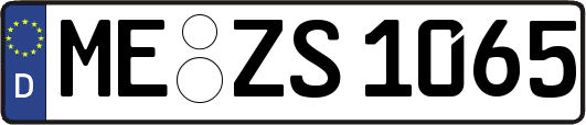 ME-ZS1065