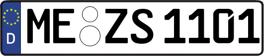 ME-ZS1101
