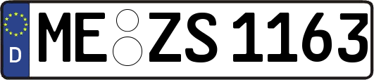 ME-ZS1163