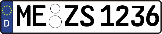 ME-ZS1236