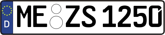 ME-ZS1250