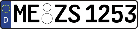 ME-ZS1253