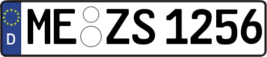 ME-ZS1256