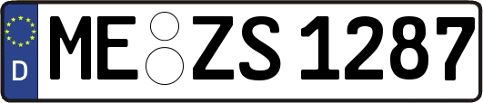 ME-ZS1287