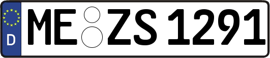ME-ZS1291