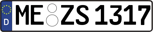 ME-ZS1317