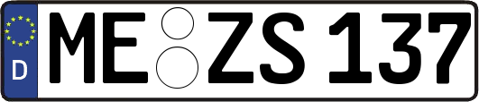 ME-ZS137