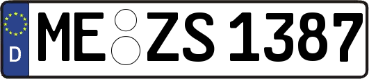ME-ZS1387