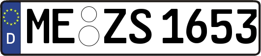 ME-ZS1653