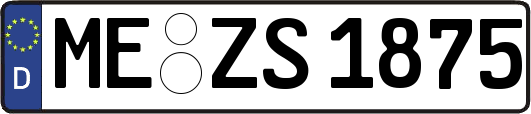 ME-ZS1875