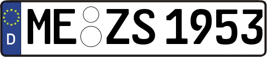 ME-ZS1953