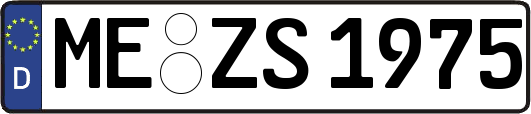 ME-ZS1975