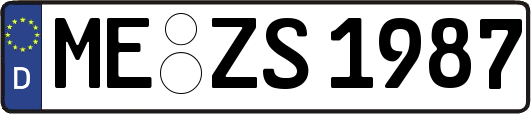 ME-ZS1987