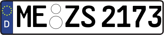 ME-ZS2173