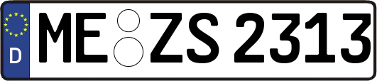 ME-ZS2313