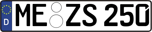 ME-ZS250
