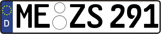 ME-ZS291