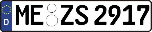 ME-ZS2917
