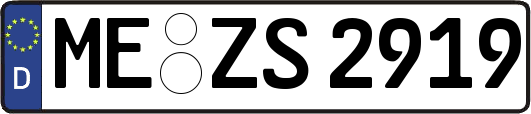 ME-ZS2919