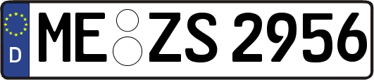 ME-ZS2956