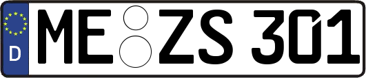 ME-ZS301