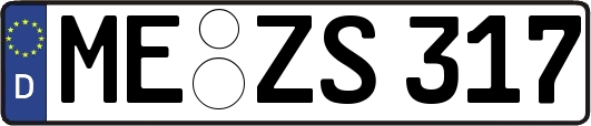 ME-ZS317