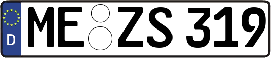 ME-ZS319