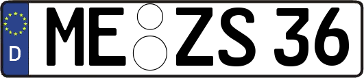 ME-ZS36