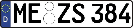 ME-ZS384