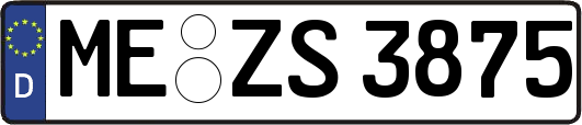 ME-ZS3875