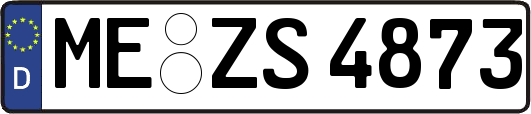 ME-ZS4873