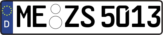 ME-ZS5013