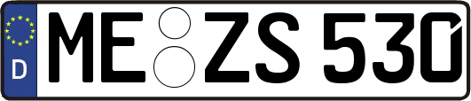 ME-ZS530