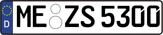 ME-ZS5300
