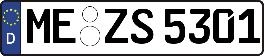 ME-ZS5301