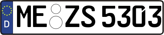 ME-ZS5303