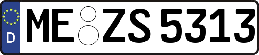 ME-ZS5313