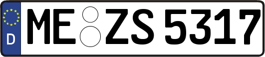 ME-ZS5317