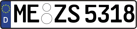 ME-ZS5318